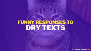 46 Funny Responses To Dry Texts That Annoy You • Better Responses