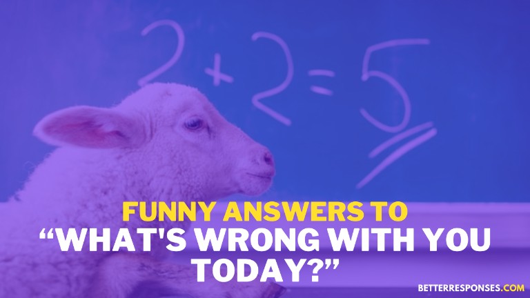 Funny Answers To What's Wrong With You Today