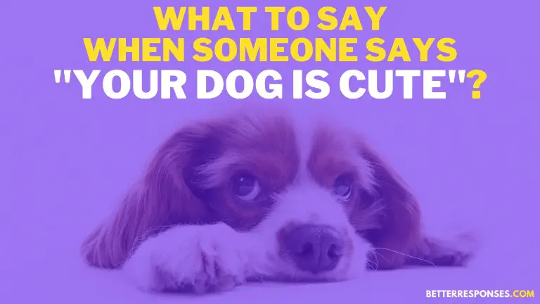 What to say when someone says your dog is cute