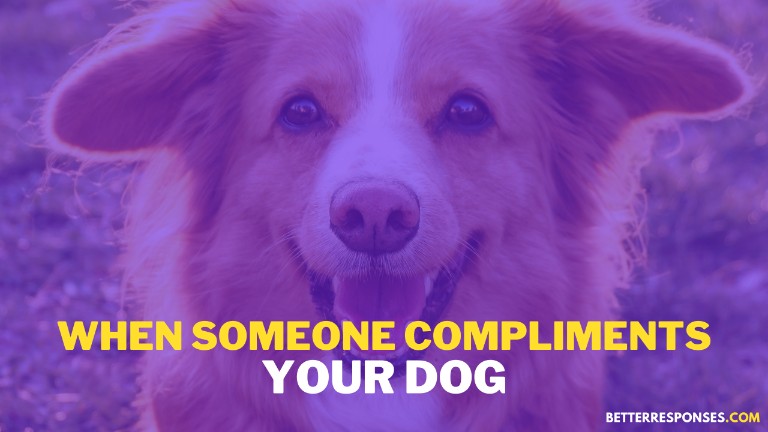 When someone compliments your dog