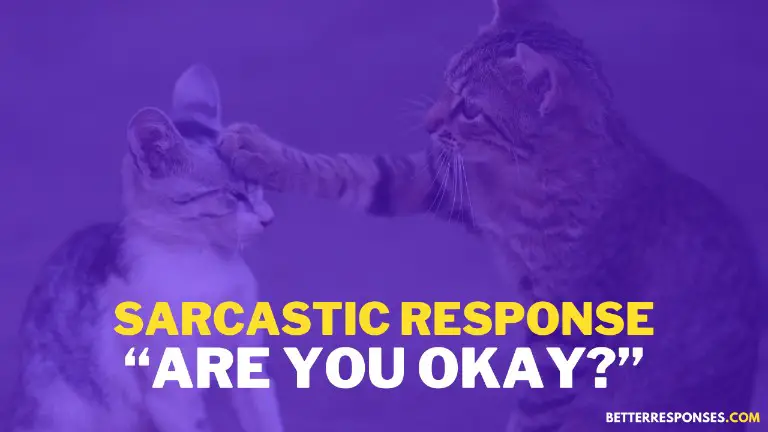 sarcastic response to are you ok