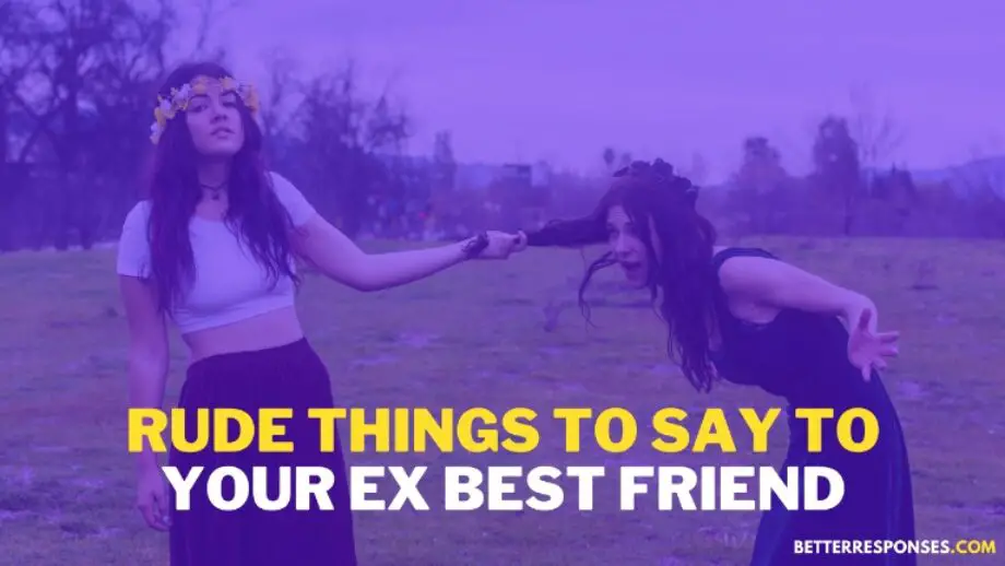 18 Rude Roasts To Say To Your ExBest Friend • Better Responses