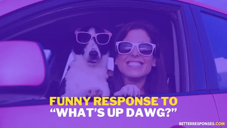 Funny Response To What's Up Dawg