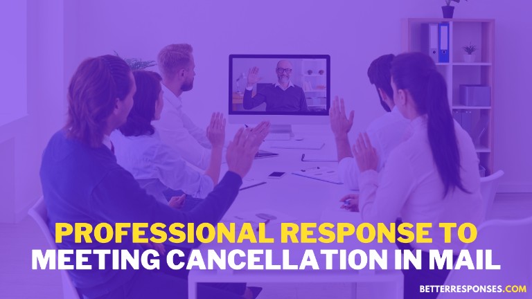 Professional response to cancellation of meeting in mail