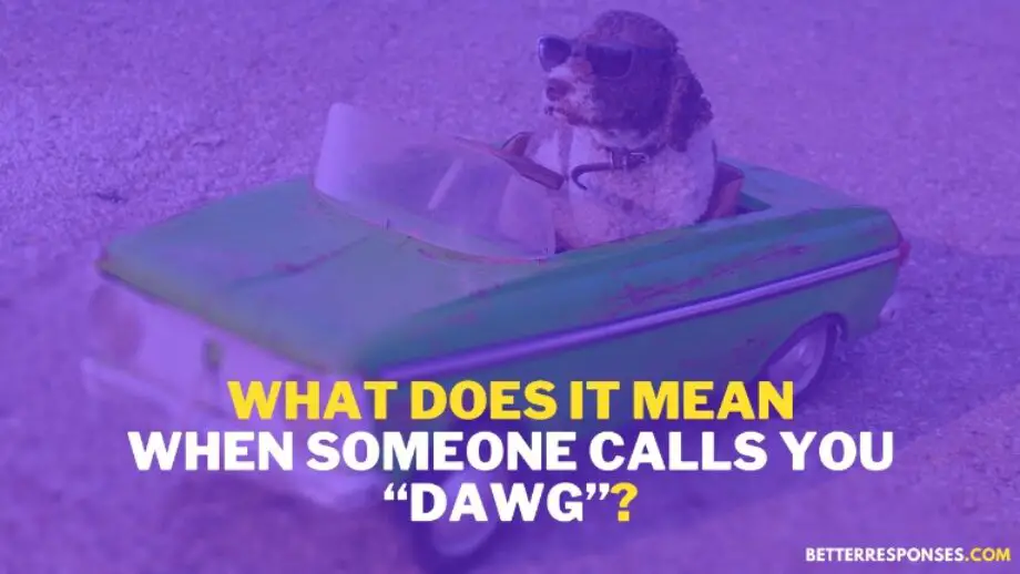 (9 Friendly Comebacks) When Someone Calls You “Dawg” Or “Dog” • Better Responses