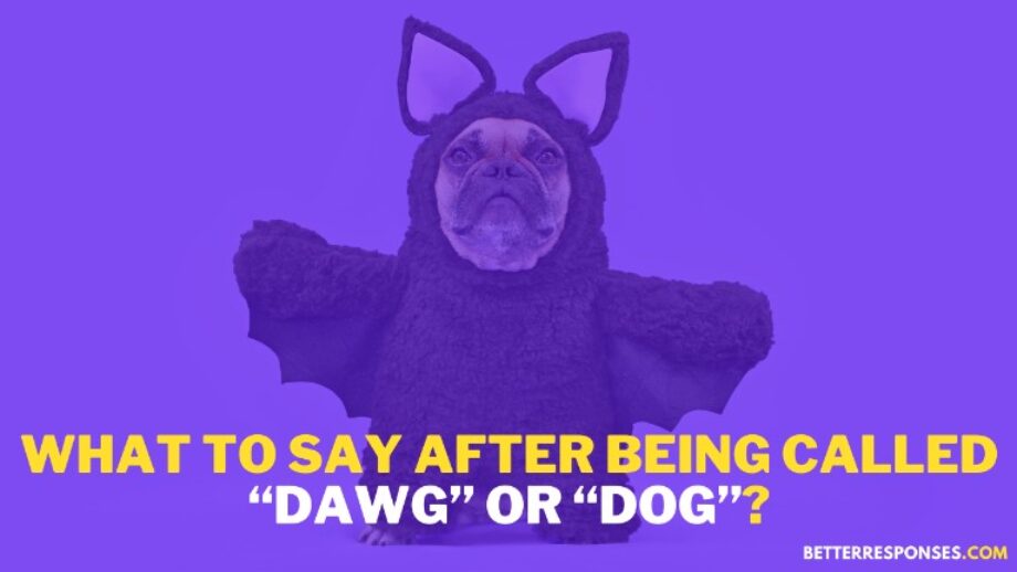 (9 Friendly Comebacks) When Someone Calls You “Dawg” Or “Dog” • Better
