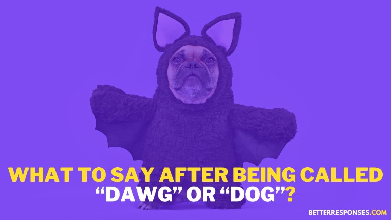 What To Say After Being Called Dawg Or Dog