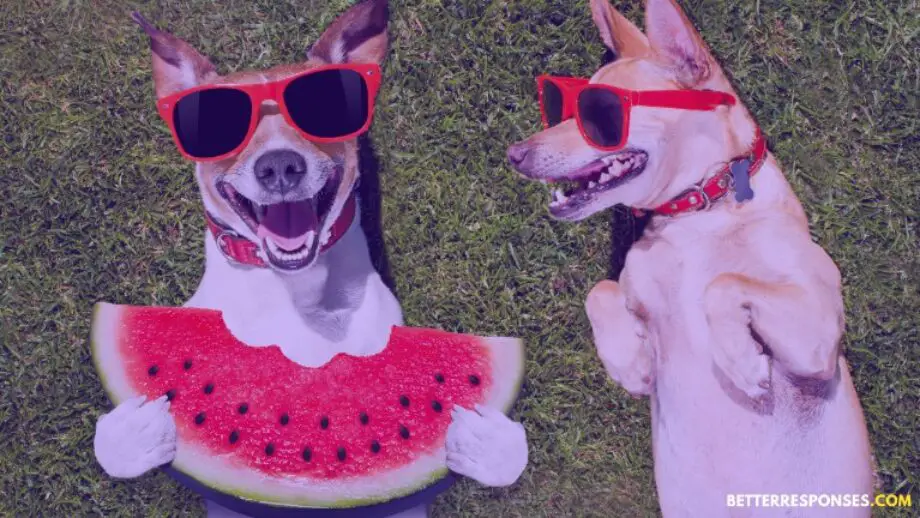 12 (Naughty And,) Flirty Replies When She Calls You ‘Daddy’ Or ‘Papi