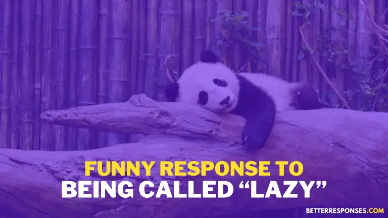 Funny Response to Being called Lazy